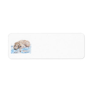 Ta sig en tupplur Labradoodle Returadress Etikett