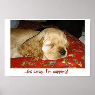 Ta sig en tupplur poster