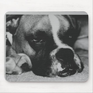 Ta sig en tupplur Time Musmatta