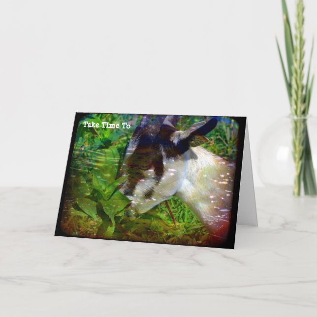 Ta tid att stanna och skala blommorna kort (Framsida)