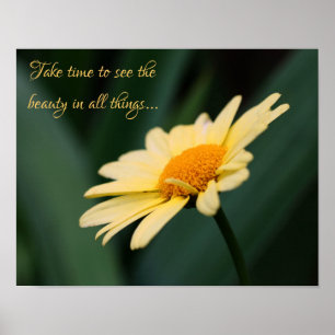 Ta tid att uppskatta Daisyns inspirationsoffert Poster