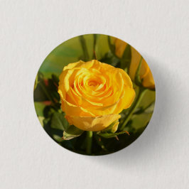 Ta tid för att lukta gul ros knapp