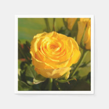 Ta tid för att lukta gul ros