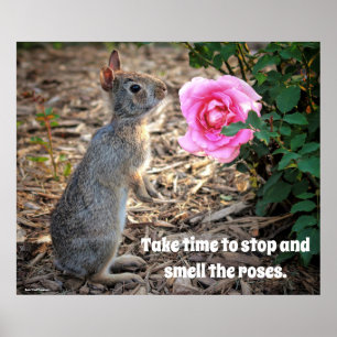 Ta tid för att ringa Rosor Poster