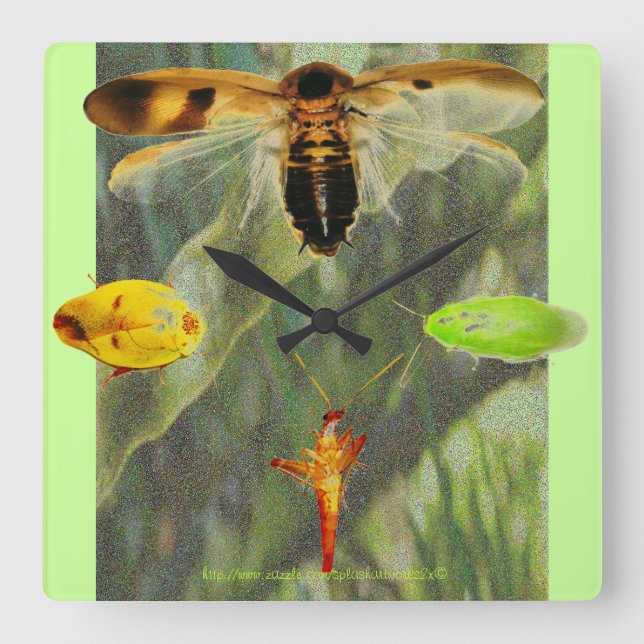 "Ta tid på den mört" mörten som ska entusiaster äl Fyrkantig Klocka (Framsida)