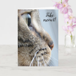 Ta ut mig! Kat Kitten Valentindagen Kort