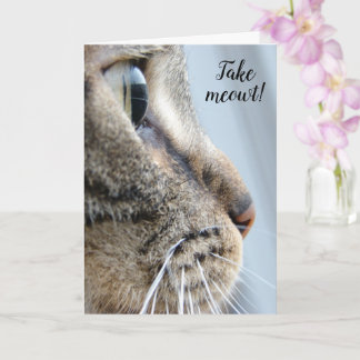 Ta ut mig! Kat Kitten Valentindagen Kort