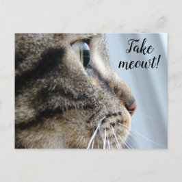 Ta ut mig! Kat Kitten Valentindagen Vykort