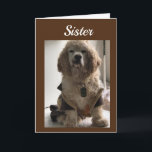 TA UT OCH CELEBRAT DITT DAGAR **SISTER** KORT<br><div class="desc">DETTA ÄR MIN 16 1/2 ÅRS GAMLA COCKER NAMN DAKOTA! HAN KÄRLEK KRÄVER MIN KORT!!!! TACK FÖR ATT JAG STOPPADE EN AV MINA ÅTTA LAGAR!!!! MINNS,  DU KAN ÄNDRA "ÅLDERN" OCH "VERSE" PÅ NÄSTAN ALLA MITT KORT!!!!!</div>
