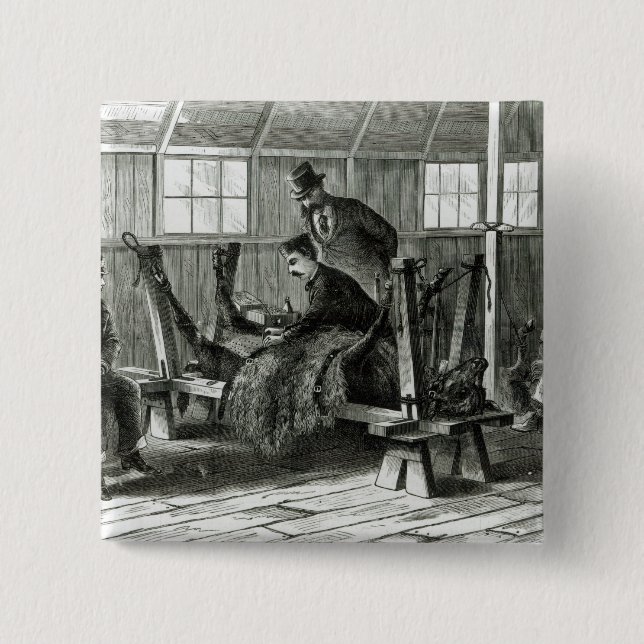 Ta viruset från kalven knapp (Framsida)