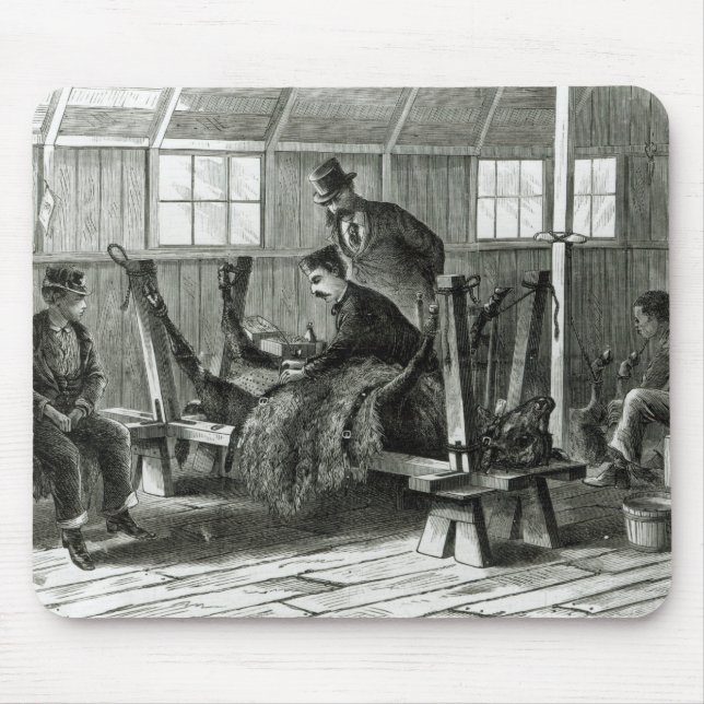 Ta viruset från kalven musmatta (Framsidan)