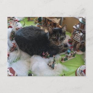 tabbe christmas vykort för katt