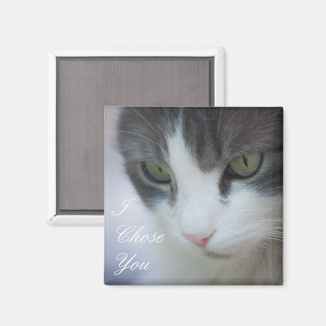 Tabby and White Cat Staring Magnet (Front/Back)