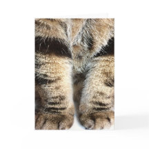 Tabby Ben Note Card - Tom inuti