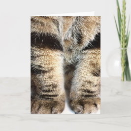 Tabby Ben Note Card - Tom inuti Kort