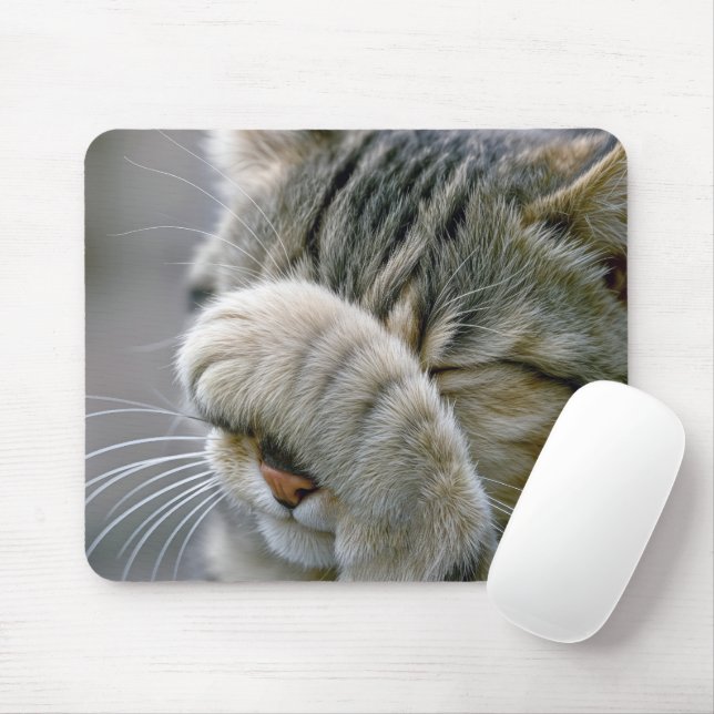 Tabby Cat Humor Musmatta (Med mus)