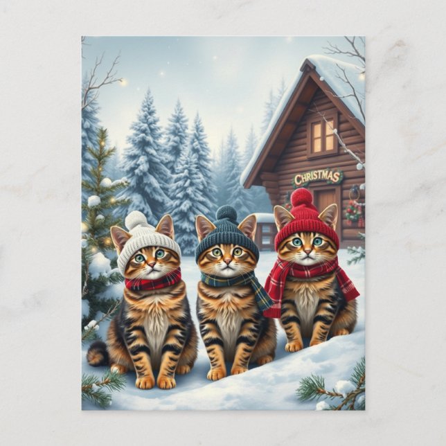 Tabby Cats in Preppy Winter Attire and Hat Winter Helg Vykort (Framsida)
