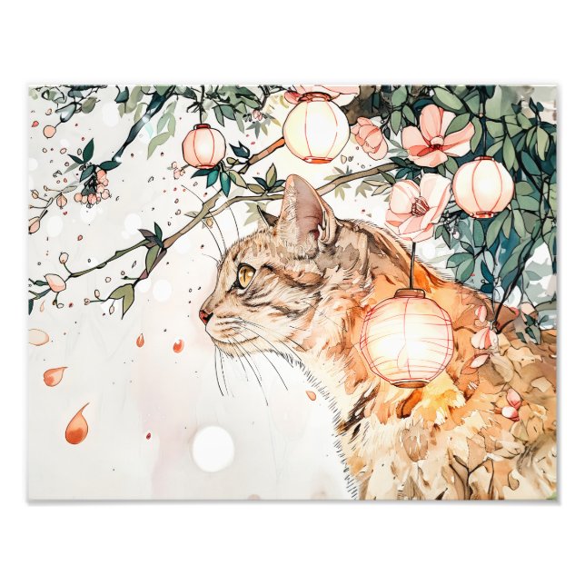 Tabby Geisha Cat between Glowing Lanterns in Chine Fototryck (Framsidan)
