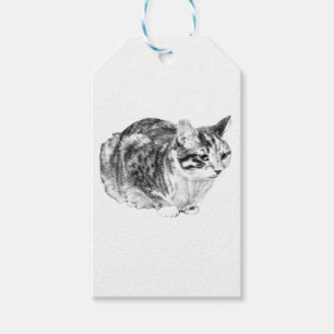 Tabby Gift Märkre, Merry Avslutar Presentetikett