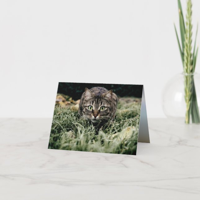 Tabby-Innekatten Kort (Framsida)