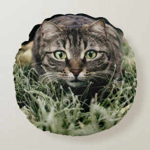 Tabby-Innekatten Rund Kudde