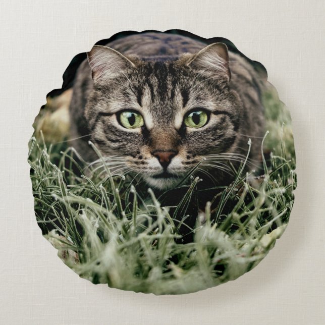 Tabby-Innekatten Rund Kudde (Framsidan)