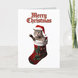 Tabby-julklapp Helgkort