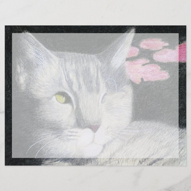 Tabby katt (Framsida)