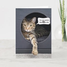 Tabby katt 40:e födelsedagen Humor Kort