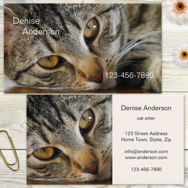 Tabby katt - Affärskortet Kat Sitter Visitkort (Business card featuring a lovely tabby cat. Great for a cat sitter, cat rescue, animal shelter)
