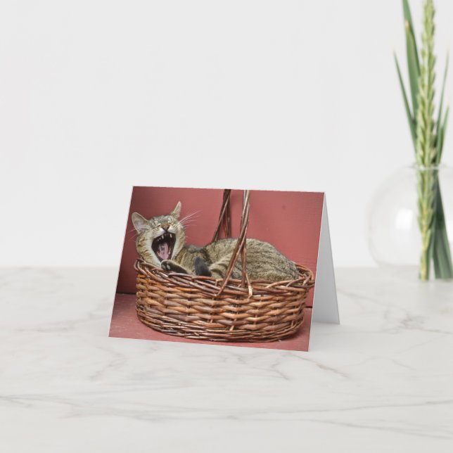 Tabby katt anteckningskort (Framsida)