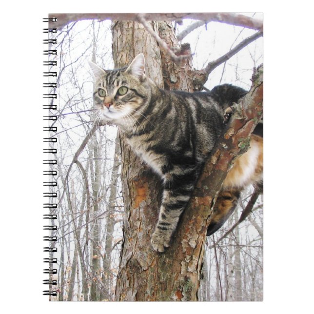 Tabby katt bärbar dator anteckningsbok med spiral (Framsidan)