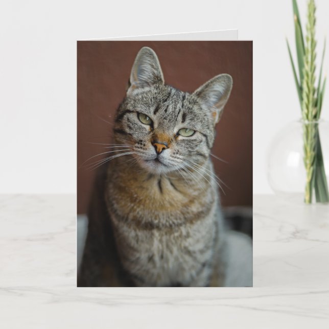 TABBY KATT BIRTHDAY CARD FOR BEAUTIFUL PERSON KORT (Framsida)