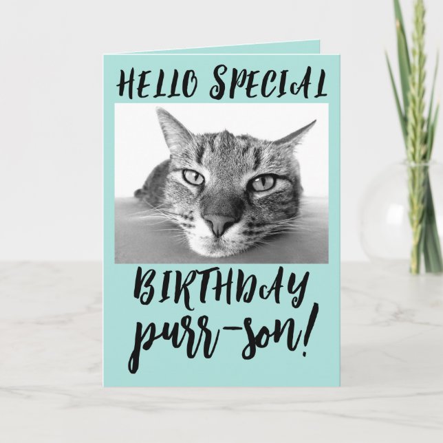 TABBY KATT BIRTHDAY GREETING CARDS KORT (Framsida)