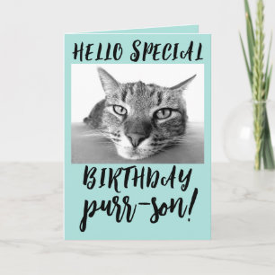 TABBY KATT BIRTHDAY GREETING CARDS KORT