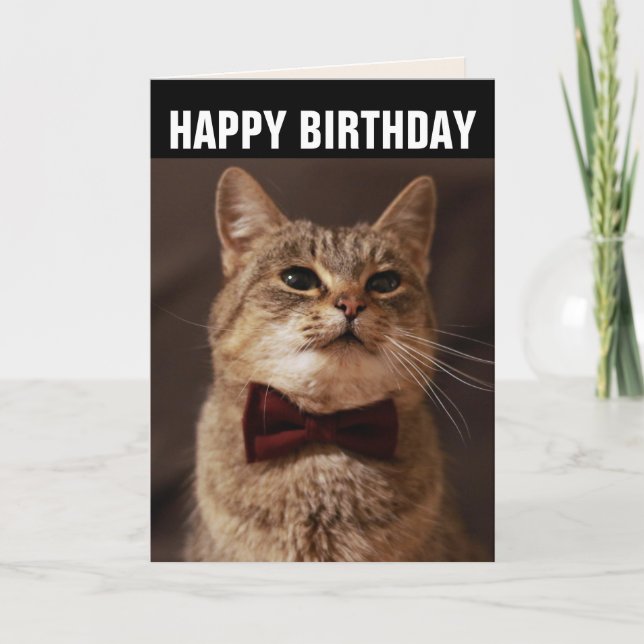 TABBY KATT BOW TIE BIRTHDAY GREETARD KORT (Framsida)