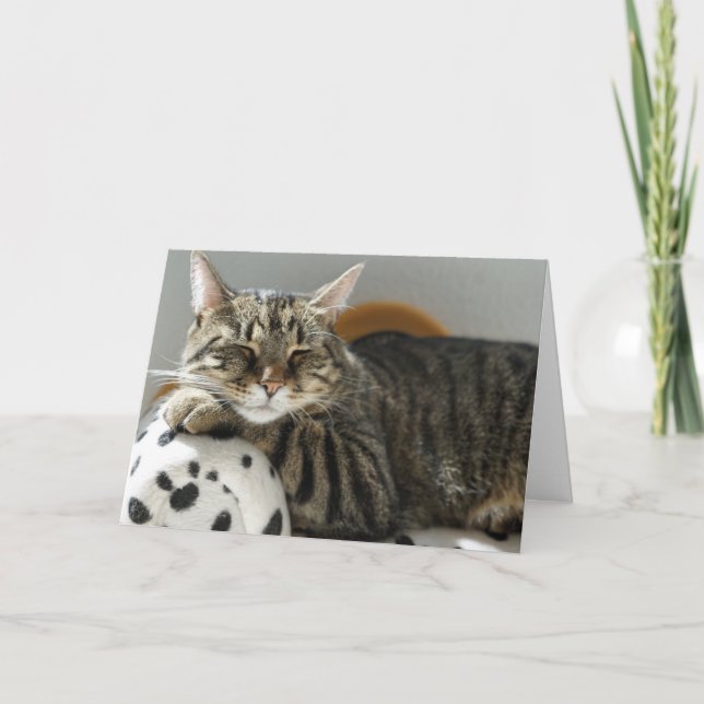 TABBY KATT "CHILL" BIRTHDAY-KORT FÖR ALLA KORT (Framsida)