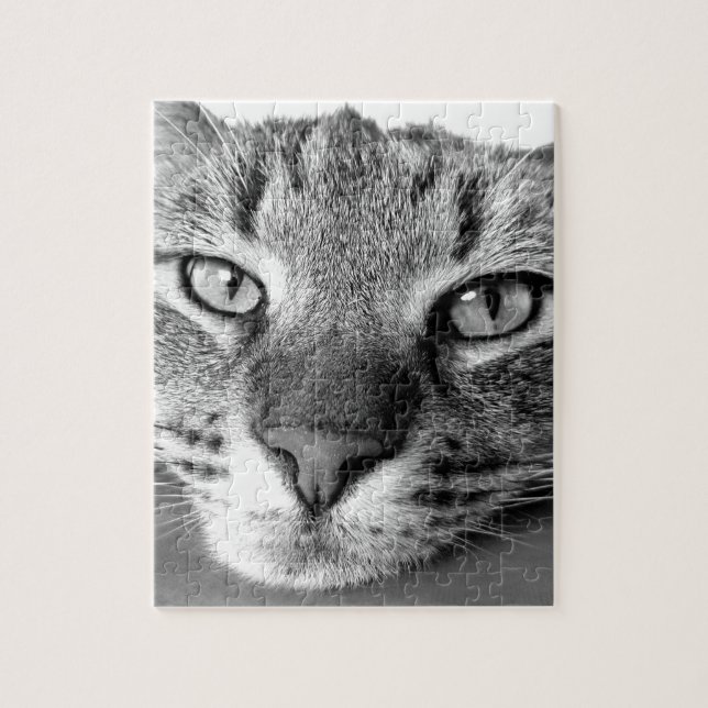 TABBY KATT CLOSEUP PUZZLE PUSSEL (Vertikal)
