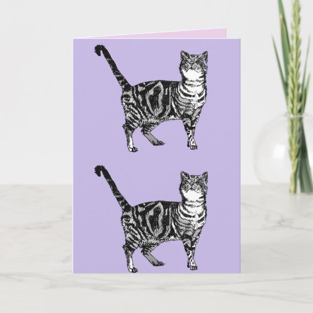 Tabby katt Cute Cats Rosa Art Teckning födelsedags Kort (Framsida)
