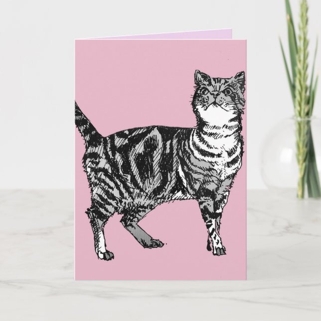Tabby katt Cute Cats Rosa Art Teckning födelsedags Kort (Framsida)