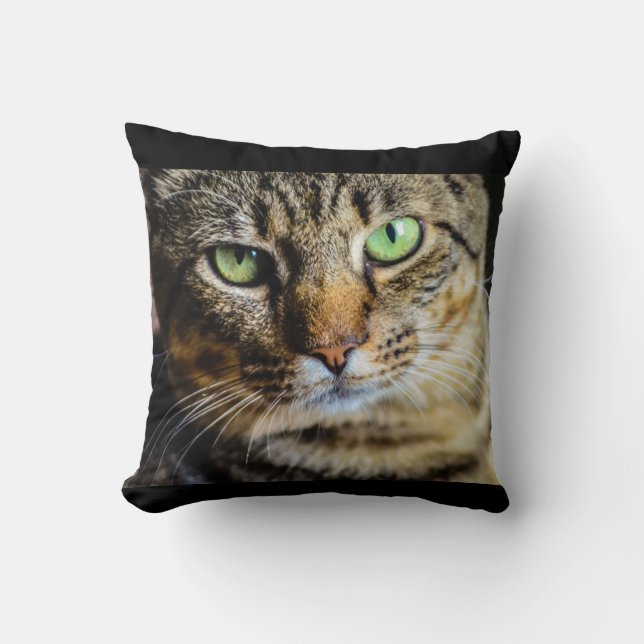 Tabby katt Dekorativ kudde (Framsida)