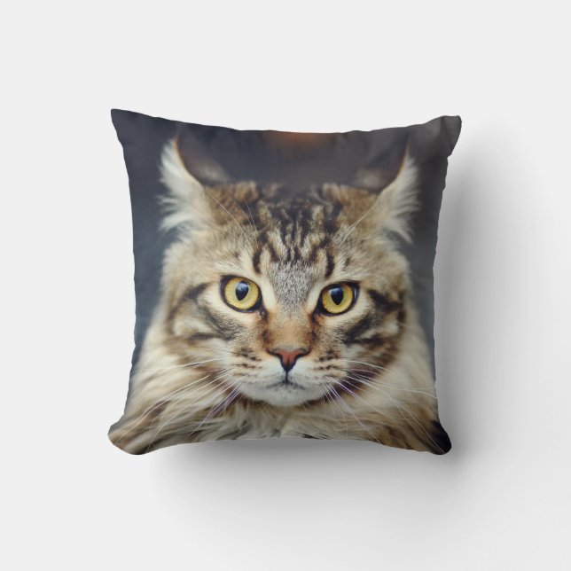 Tabby katt Dekorativ kudde (Framsida)