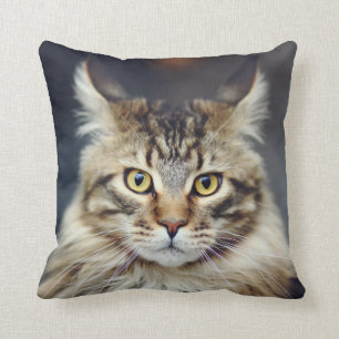 Tabby katt Dekorativ kudde