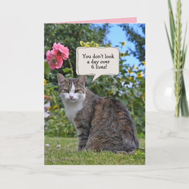 tabby katt födelsedag humor kort (Framsida)