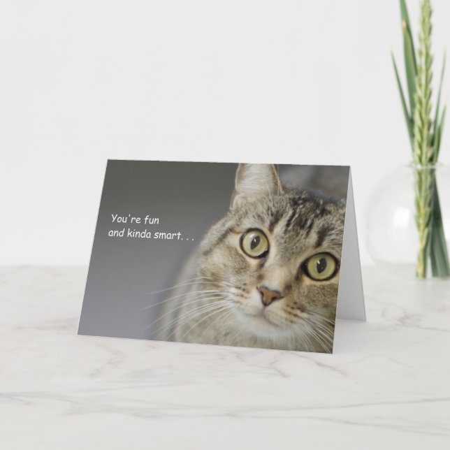 Tabby katt födelsedag med fokus på orsak kort (Framsida)