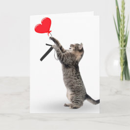 Tabby katt för 7:e-födelsedag kort
