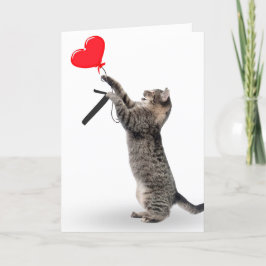 Tabby katt för 7:e-födelsedag kort