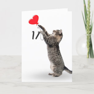Tabby katt för elfte födelsedagskortet kort