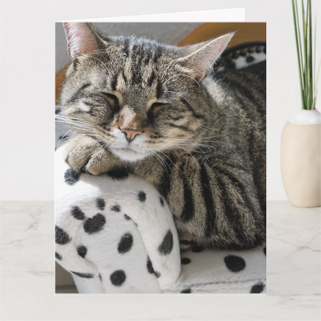 TABBY KATT FUNNY CUTE BIRTHDAY CARD KORT (Framsida)