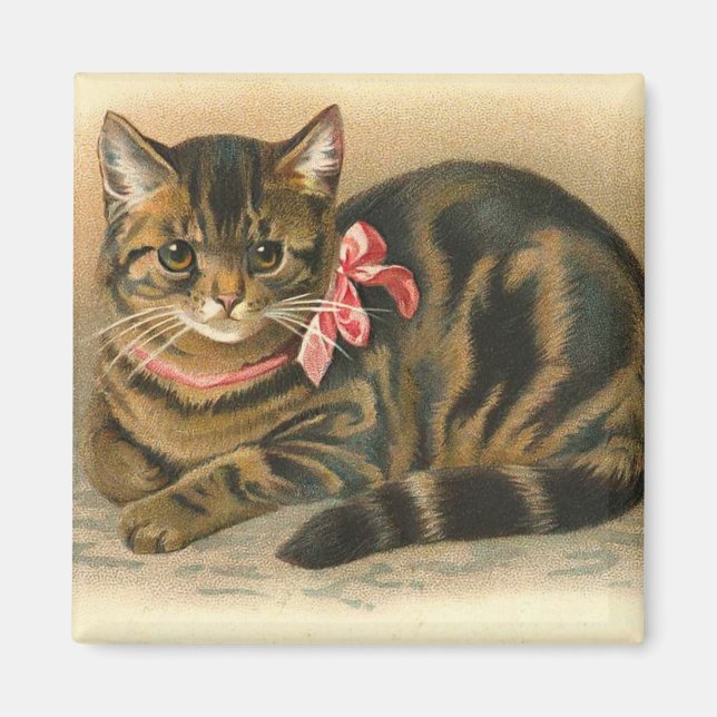 "Tabby katt" Fyrkantstreck Magnet (Framsidan)